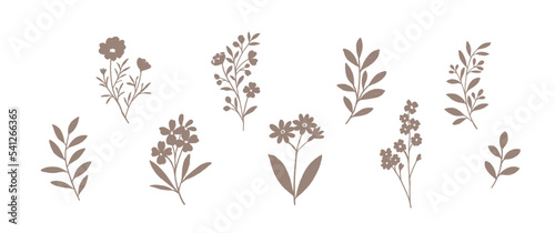 Set of botanical silhouettes  leaves  plants and flowers 