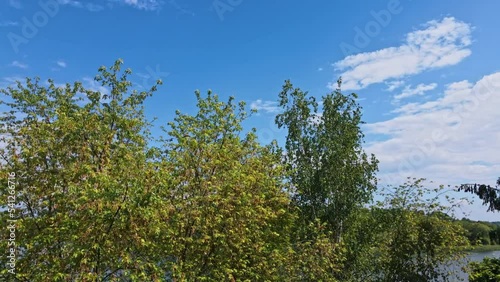 Nature aerial drone view of sunrise over the calm forest lake. Clouds sky reflected in the water. Close up. Slow motion