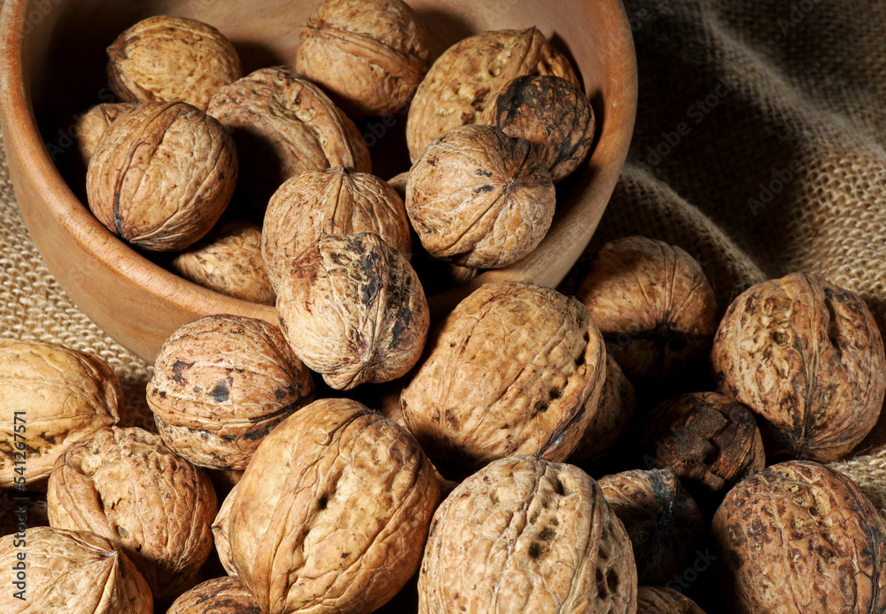 dried shelled walnuts on burlap background dried shelled walnuts on burlap background