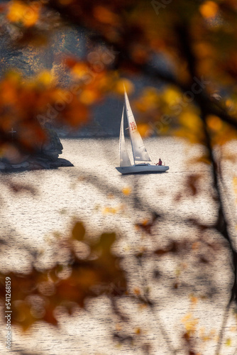 Golden leisure time