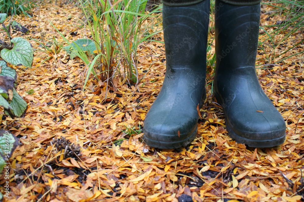 in Gummistiefeln bei der Gartenarbeit, Herbst und Regenwetter