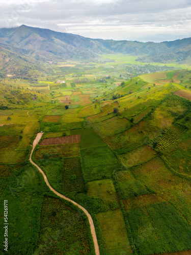 Aerial view of Chu Dang Ya volcano mountain with Da Quy flower or Tithonia diversifolia flower near Pleiku city, Gia Lai province, Vietnam photo