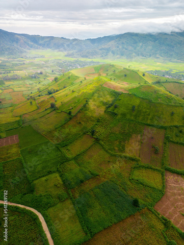 Aerial view of Chu Dang Ya volcano mountain with Da Quy flower or Tithonia diversifolia flower near Pleiku city, Gia Lai province, Vietnam photo