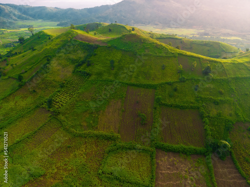 Aerial view of Chu Dang Ya volcano mountain with Da Quy flower or Tithonia diversifolia flower near Pleiku city, Gia Lai province, Vietnam photo