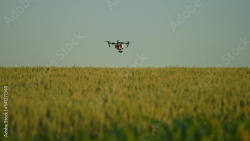 Horizon footage of quadcopter flying over green field. Smart farming concept. Terrain scanning technology. Drone over wheat. Analysis, scanning, monitoring. Modern technologies. Summer, daytime