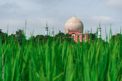 Bokhshia Khanka Sharif Mosque of Paksey Furfura Sharif, Rajshahi Divn Town, Bangladesh Ishurdi photo