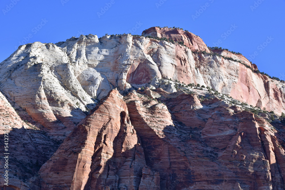 White and Pink Plateau in Zion