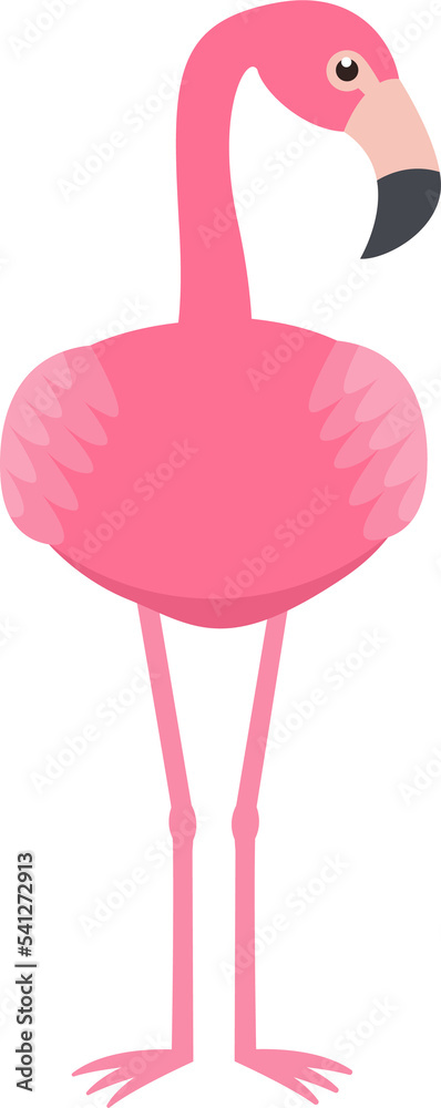 Fototapeta premium This is a pink flamingo