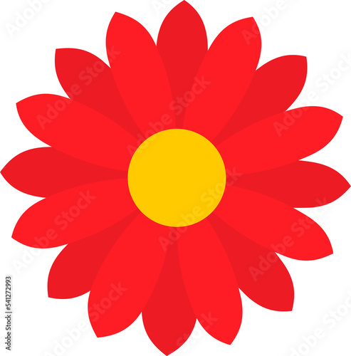 This is a flower