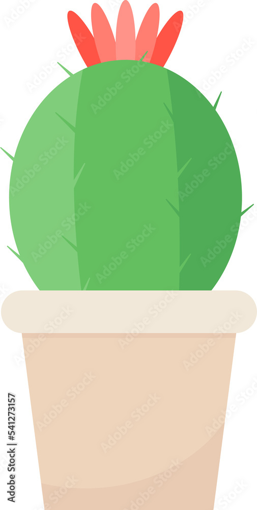 This is a houseplant. This is a houseplant.