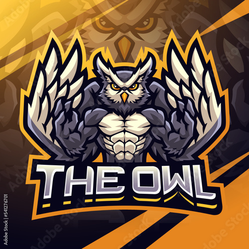 The owl fighter esport mascot logo design