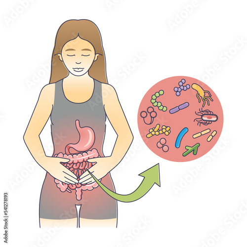 Gastroenteritis as gastrointestinal tract inflammation outline diagram. Educational scheme with bacterial stomach and intestine infection vector illustration. Medical virus caused diarrhea or vomiting