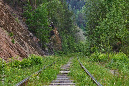 an old railroad leading into the forest. old abandoned railway photo