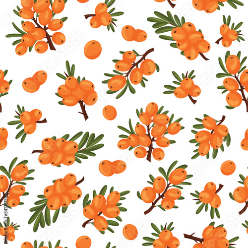 Seamless pattern of sea buckthorn branches and berries white background.