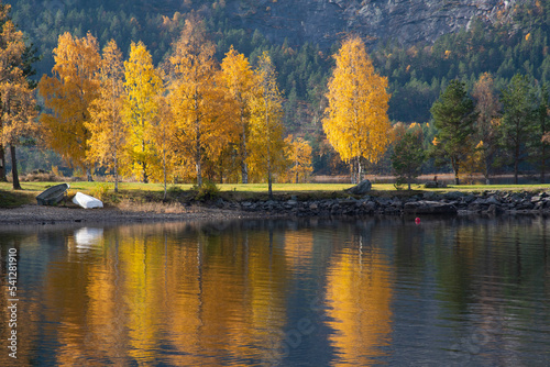 autumn landscape with lake and trees