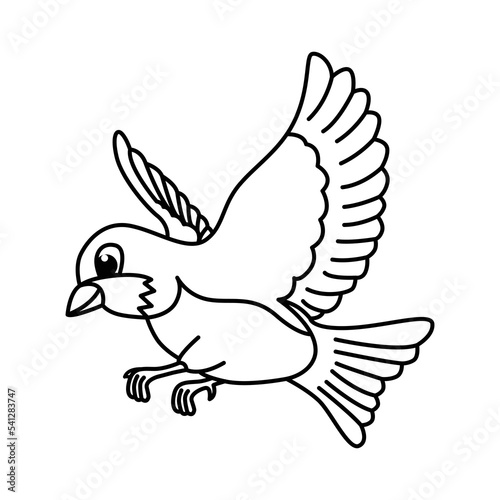 Cute bird cartoon characters vector illustration. For kids coloring book.