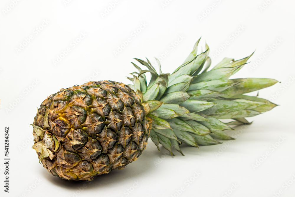 Pineapple on a white background. Tropical Fruit Pineapple on a white background. Tropical Fruit