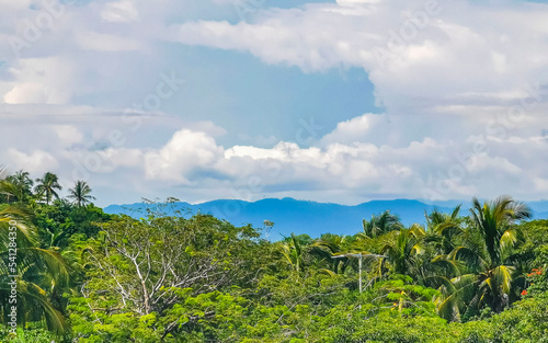 Beautiful nature with palm trees and mountains Puerto Escondido Mexico.