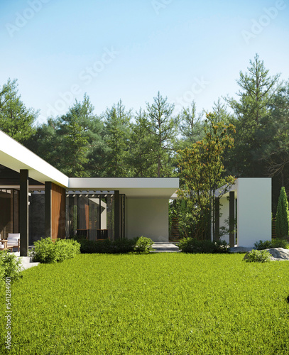 Modern villa with a large green area. House with pool and terrace. 3D visualization. house architecture