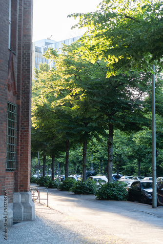 Atardecer en calle con arboles en Berlín