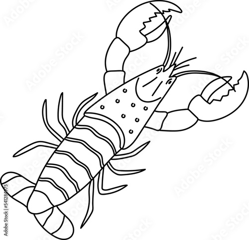 Lobster doodle illustration
