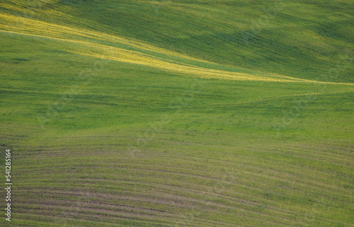 Entornos verces típicos de la toscana, praderas primaverales