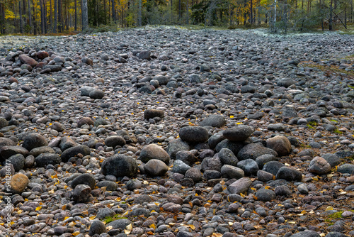 Field of boulders with yellow autumn leaves in Teijo National Park, Salo, Finland photo