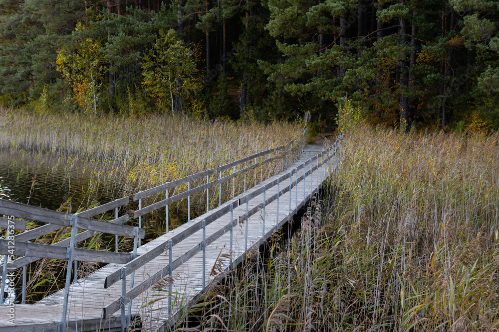 Wooden footbridge going through the grasses and wet area in Teijo National Park, Salo, Finland