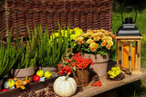Jesienna dekoracja z wrzosów, dyni i kwiatów