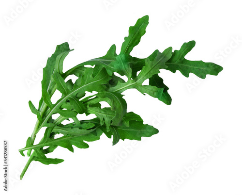 Arugula leaves isolated on white background, top view photo