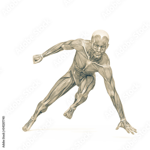 average man muscle maps is doing a parkour pose number seven © DM7