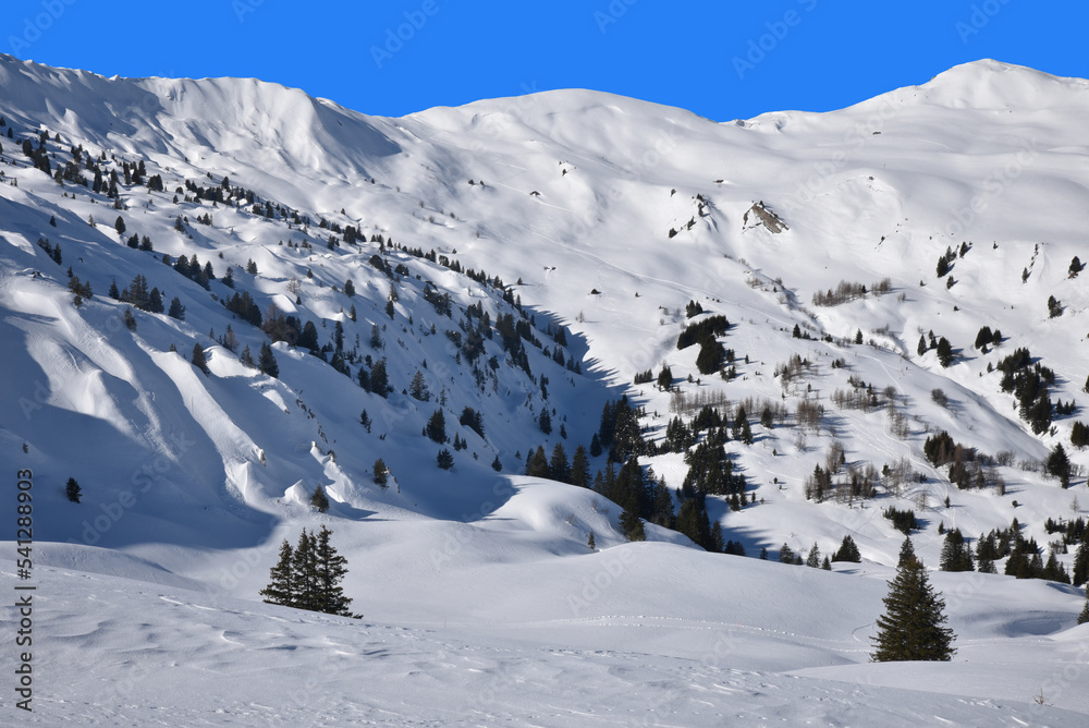 Montagnes enneigées à Lenk dans l'Oberland bernois. Suisse
