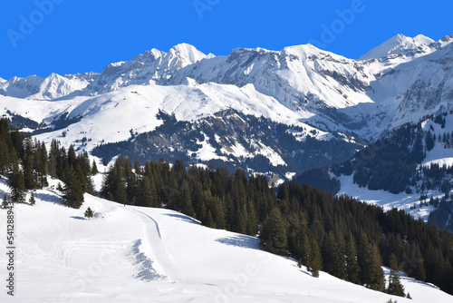 L'Oberland bernois en hiver. Suisse