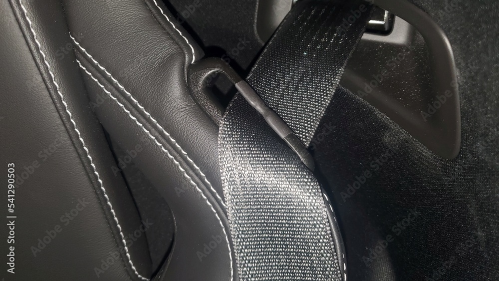 Seat Belt Shoulder Harness StockFoto Adobe Stock