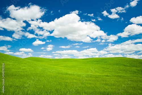Green crops growing across rolling hills with blue sky and white puffy clouds