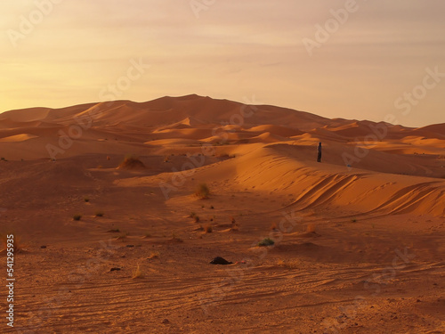 Mesmerizing sunrise over sand dunes of the Sahara desert, Morocco