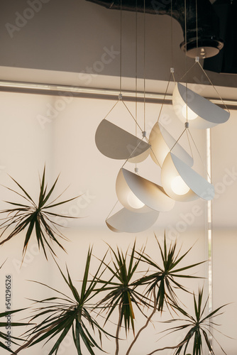 minimalist interior, white chandeliers, flower palms