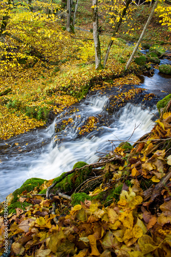 waterfall in autumn