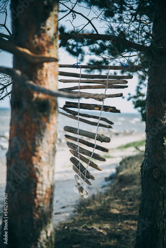 wooden decor near the sea in the nature