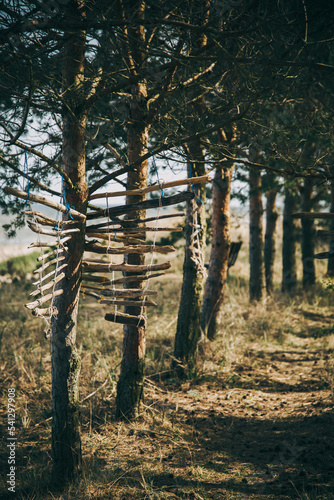 wooden decor near the sea in the nature