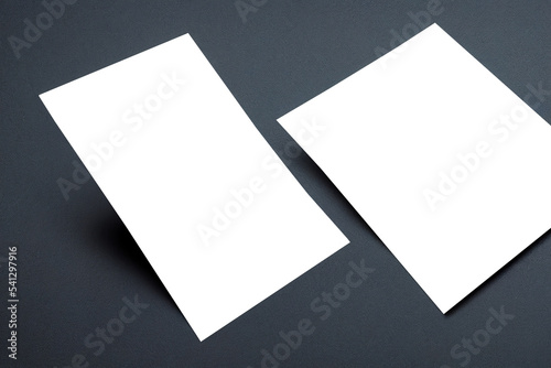 Blank brochure template for presentation layout and design. Flyer mockup for booklet and advertising © Llama-World-studio