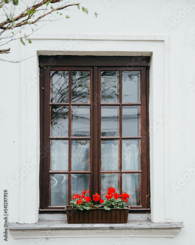 old window and flowers