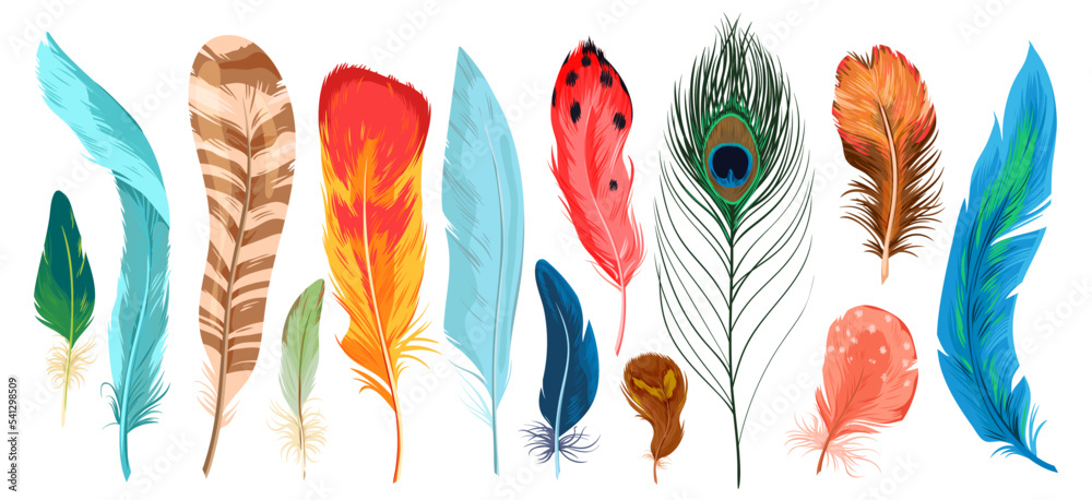 Feathers set vector illustration. Cartoon isolated bright exotic birds  plume collection, curve feathers with colorful abstract patterns from wings  or tail of flying wild animal, different plumages Stock Vector