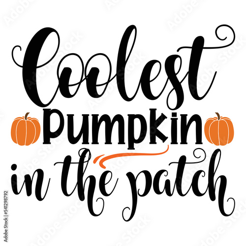 Coolest Pumpkin In The Patch SVG, Coolest Pumpkin Svg, Pumpkin Boy Halloween Svg, Boy Halloween, Quote Halloween Funny Svg