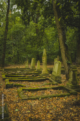 Abandoned overgrown old cemetery in the forest