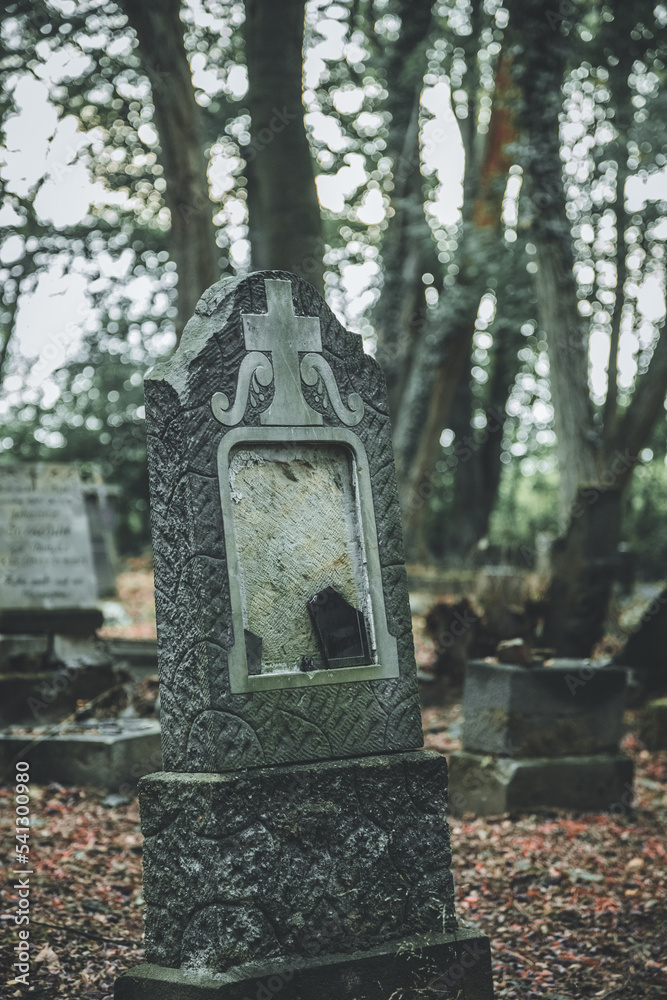 Obraz premium Abandoned overgrown old cemetery in the forest