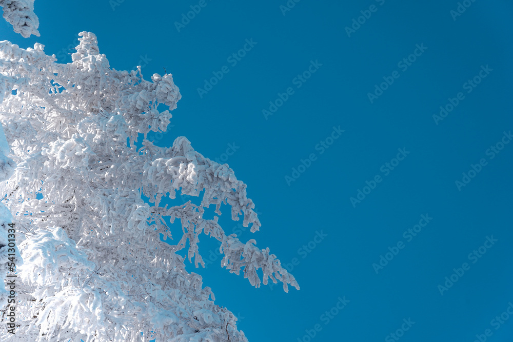 Fototapeta premium water splash