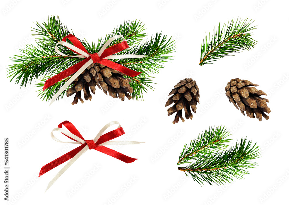 Christmas decoration with pine twigs, cones and ribbon bow isolated and ...