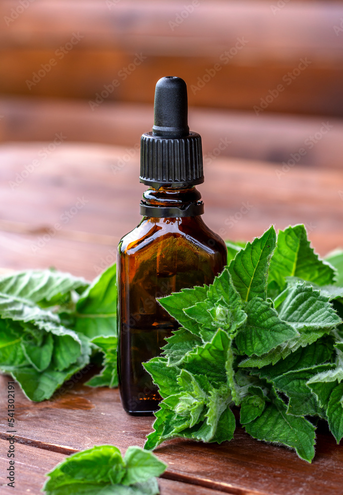 Peppermint essential oil. A dark (brown) glass bottle with mint essential oil and fresh mint on wooden table Peppermint essential oil. A dark (brown) glass bottle with mint essential oil and fresh mint on wooden table