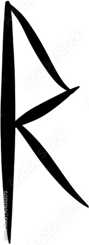 Drawn runes single letter in vector raidho painted rune photo